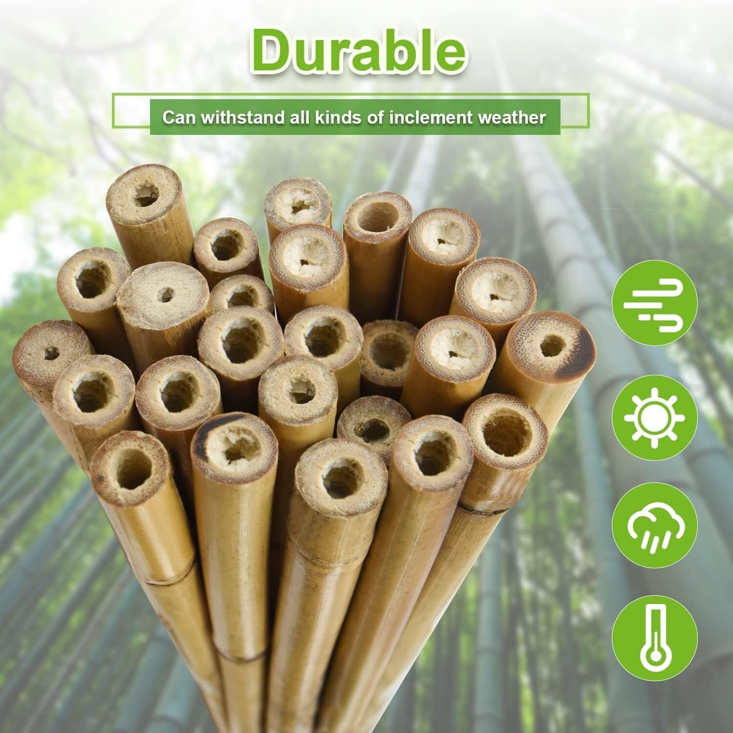 Versatile 20-Pack 6FT Bamboo Stakes for Strong Support & Garden Organization
