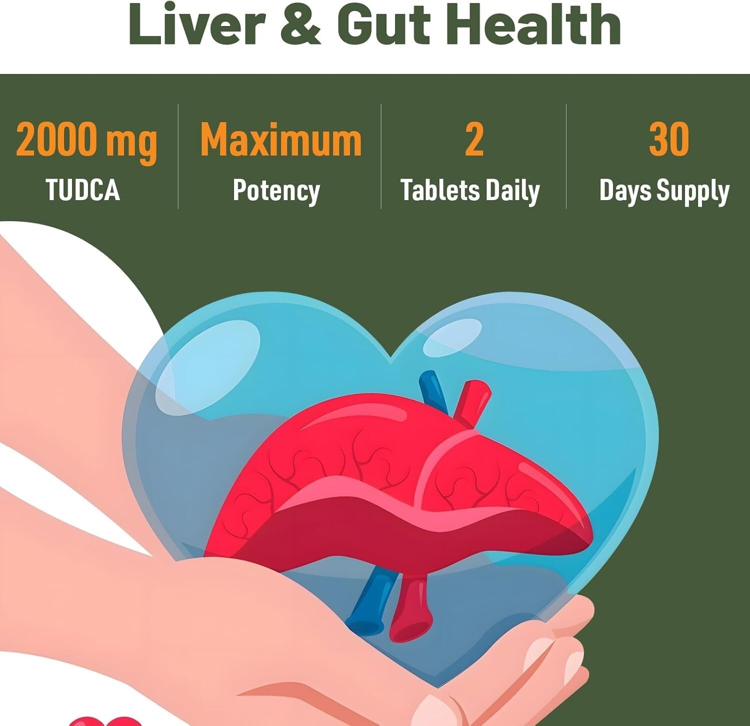 TUDCA 2000mg Liver Cleaner - Easy-to-Swallow Tablets for Detox & Bile Support