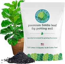 Load image into Gallery viewer, Nutrient-Rich Fiddle Leaf Fig Potting Mix - 7.57 Liters for Optimal Plant Health