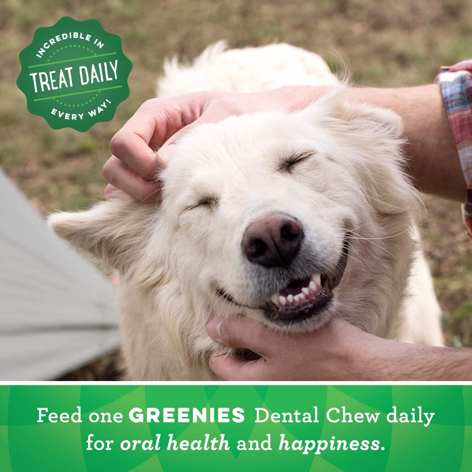 130 Chewy Dental Treats for Small Dogs - Original Flavor & Natural Ingredients