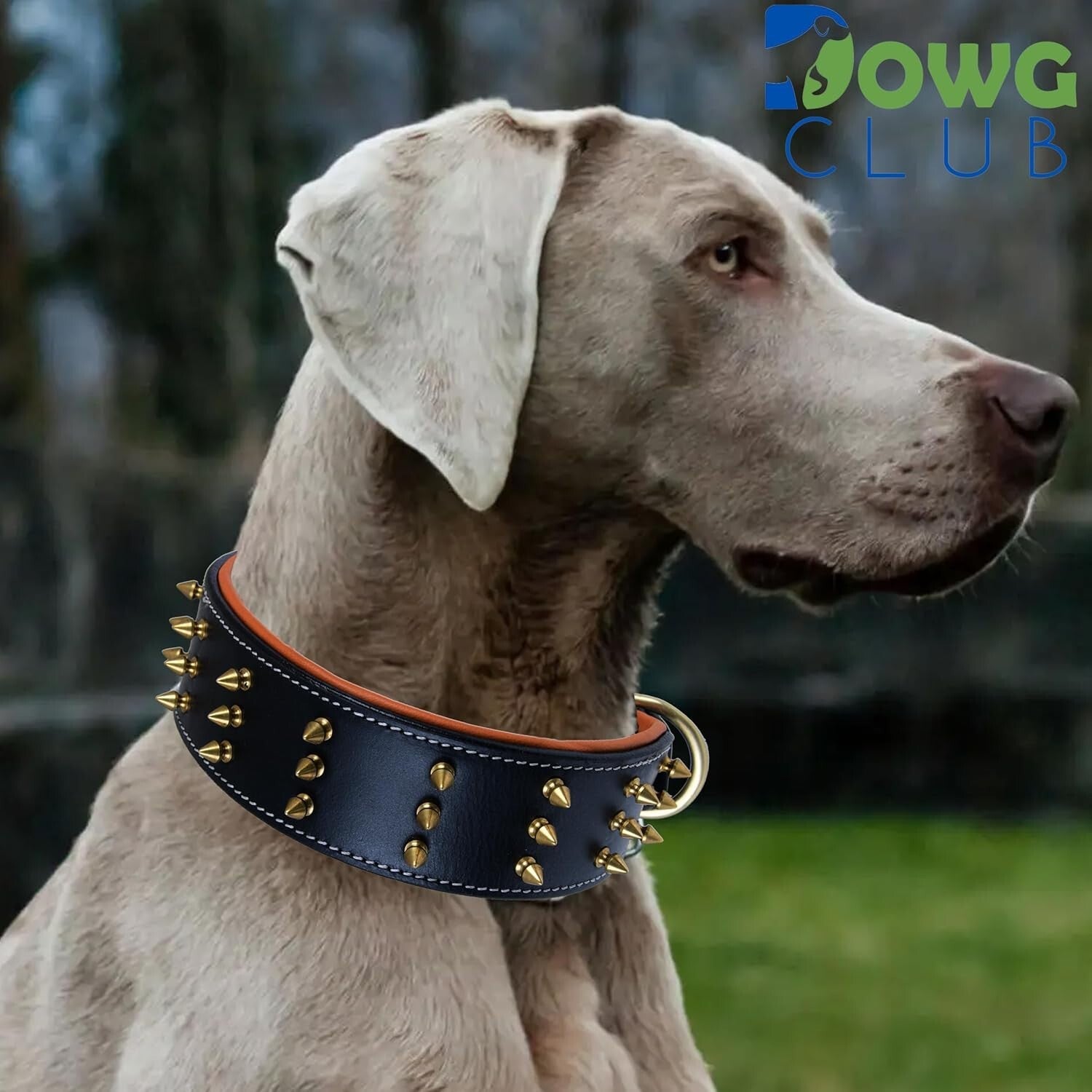 Stylish Spiked Leather Dog Collar for Large Breeds - Comfort and Safety Combined