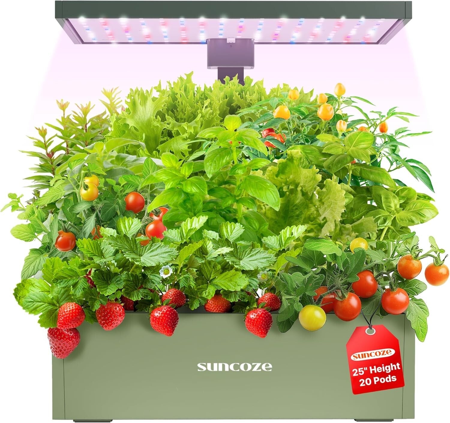 Complete 20-Pod Hydroponic Garden with LED Grow Light & Timer Functions