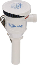 Load image into Gallery viewer, Tsunami T800 Aerator Pump: Stainless Steel Design for Reliable Livewell Aeration