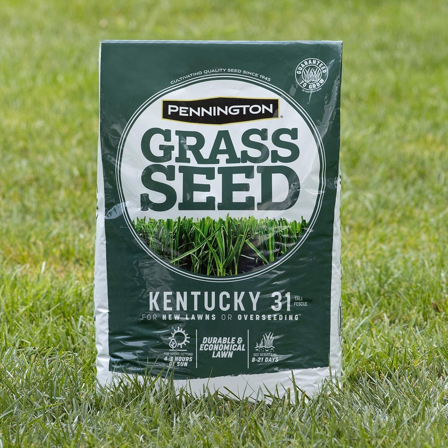 Kentucky 31 Tall Fescue Grass Seed 20 lb - Durable Lawn Solution for 4,000 sq ft