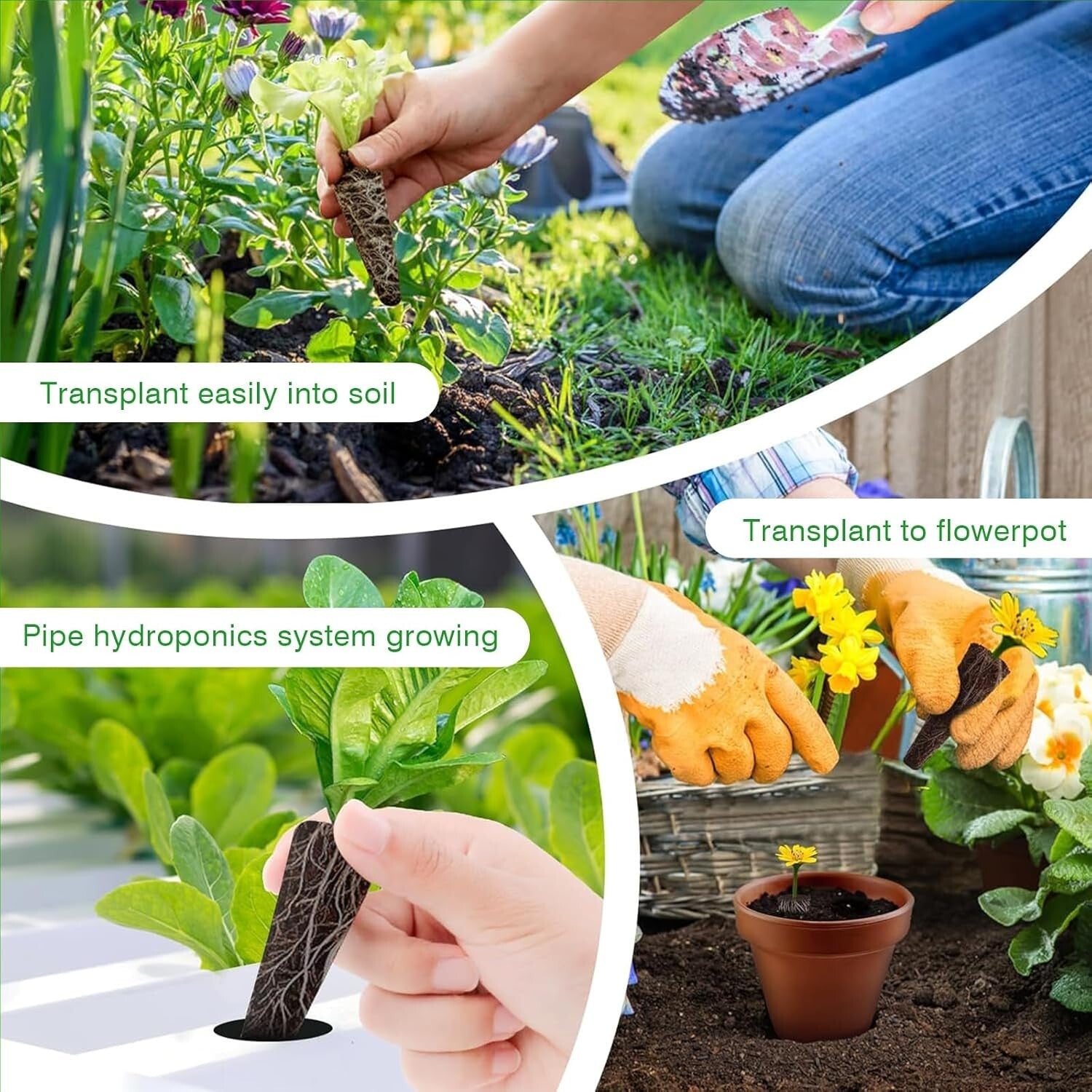 Biochar Cotton Hydroponic Seed Pods - 250 Pack for Effortless Germination