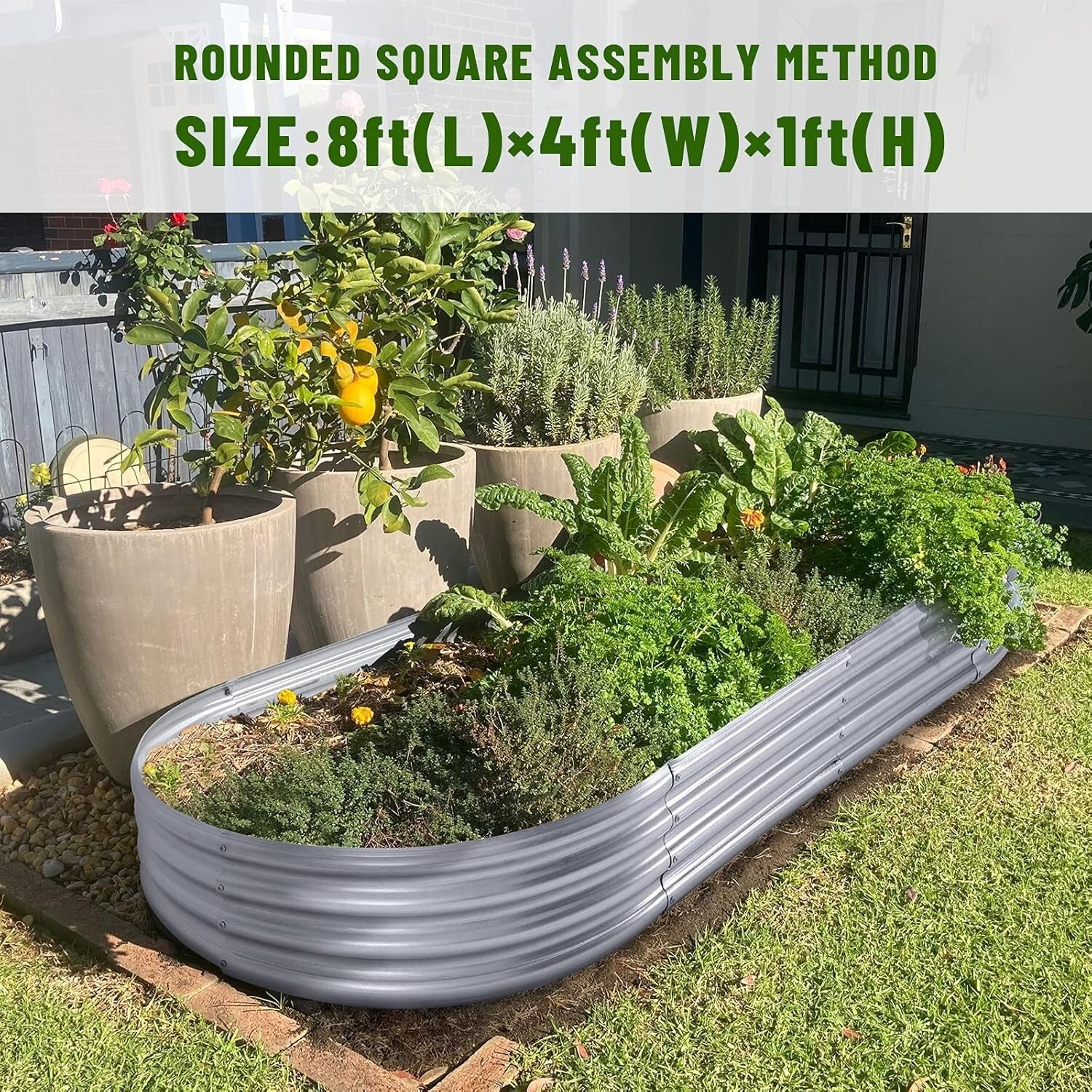Durable Galvanized Steel Raised Garden Bed Set, 8x4x1 ft for Vibrant Vegetables