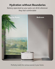 Load image into Gallery viewer, Dockstream 2.5L Pet Water Fountain - Rechargeable, Cordless, Easy Clean Design