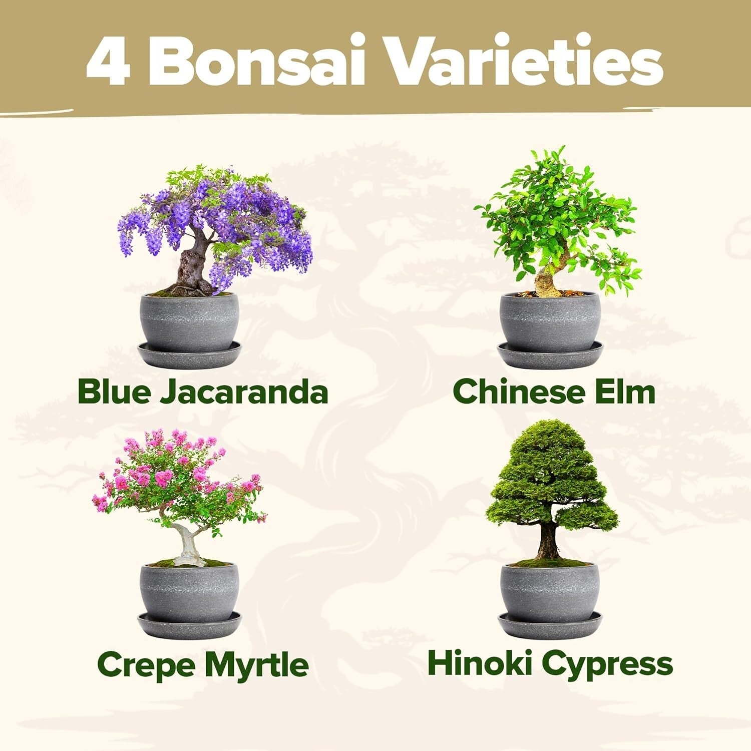 Elegant Bonsai Tree Starter Kit: 4 Unique Varieties & In-Depth Grow Guide