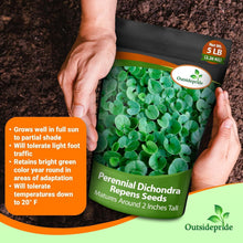 Load image into Gallery viewer, Dense Green Dichondra Repens Seeds - Easy Erosion Control &amp; Year-Round Color