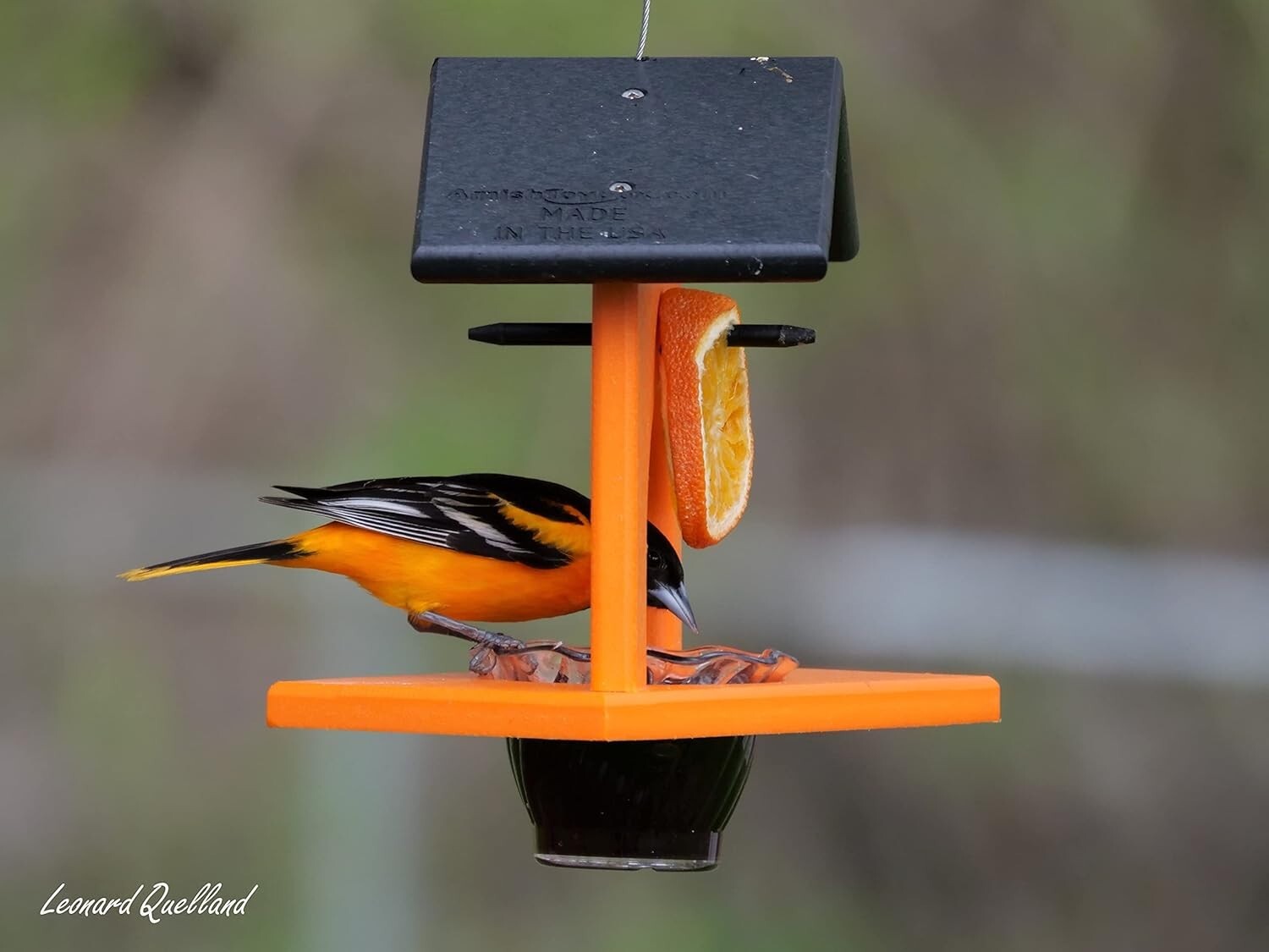 Elegant Orange Hanging Oriole Bird Feeder - Eco-Friendly & Easy to Clean