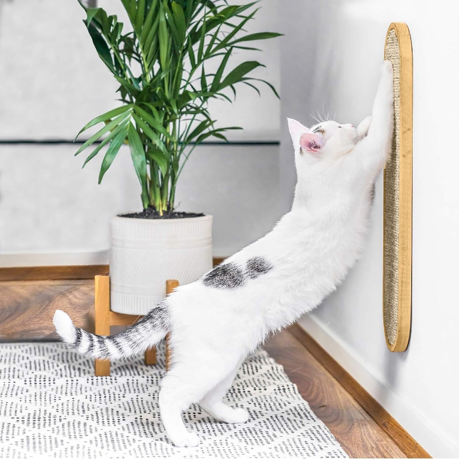 Sturdy Modern Cat Scratcher - Adjustable Height for All Breeds - Cream Color