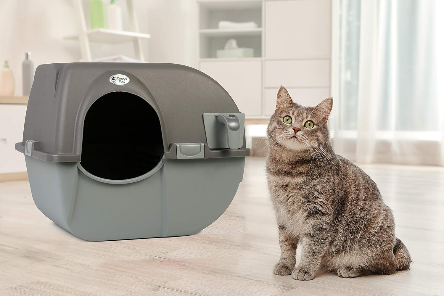 Efficient Grey Self-Cleaning Cat Litter Box with Pull-Out Tray - Regular Size