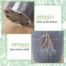 Load image into Gallery viewer, Versatile 12-Pack Clear Nursery Pots with Drainage for Indoor and Outdoor Plants
