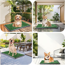Load image into Gallery viewer, Compact Dog Grass Pad with Tray - Ideal Indoor Potty for Apartments and Patios