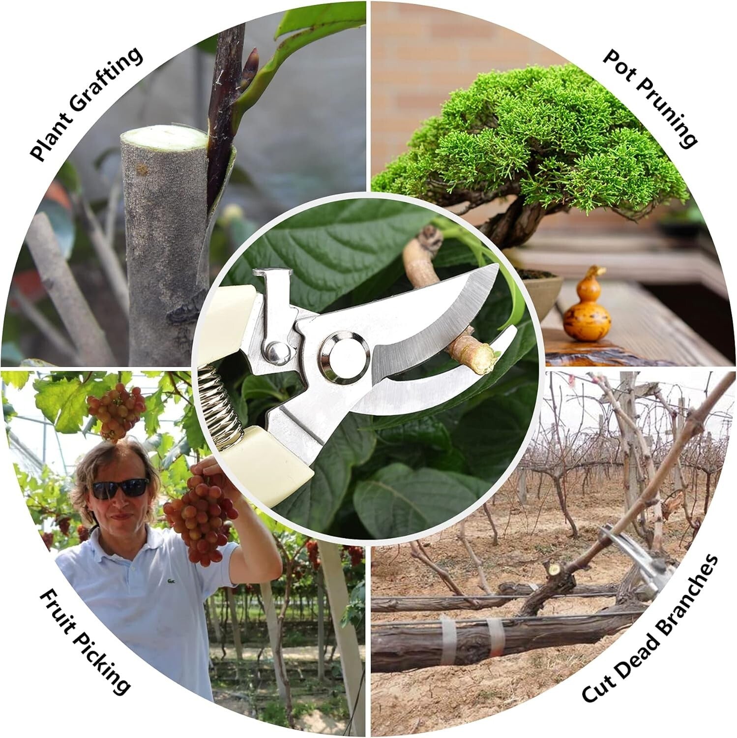 20-Piece Stainless Steel Pruning Shears Set with Ergonomic Grip for Gardeners