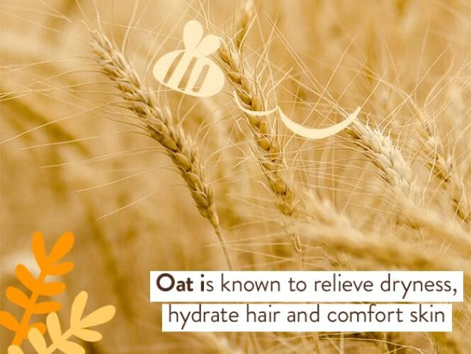 Lightly Scented Oat & Calendula 2-in-1 Shampoo for Sensitive Skin – Allergy-Free