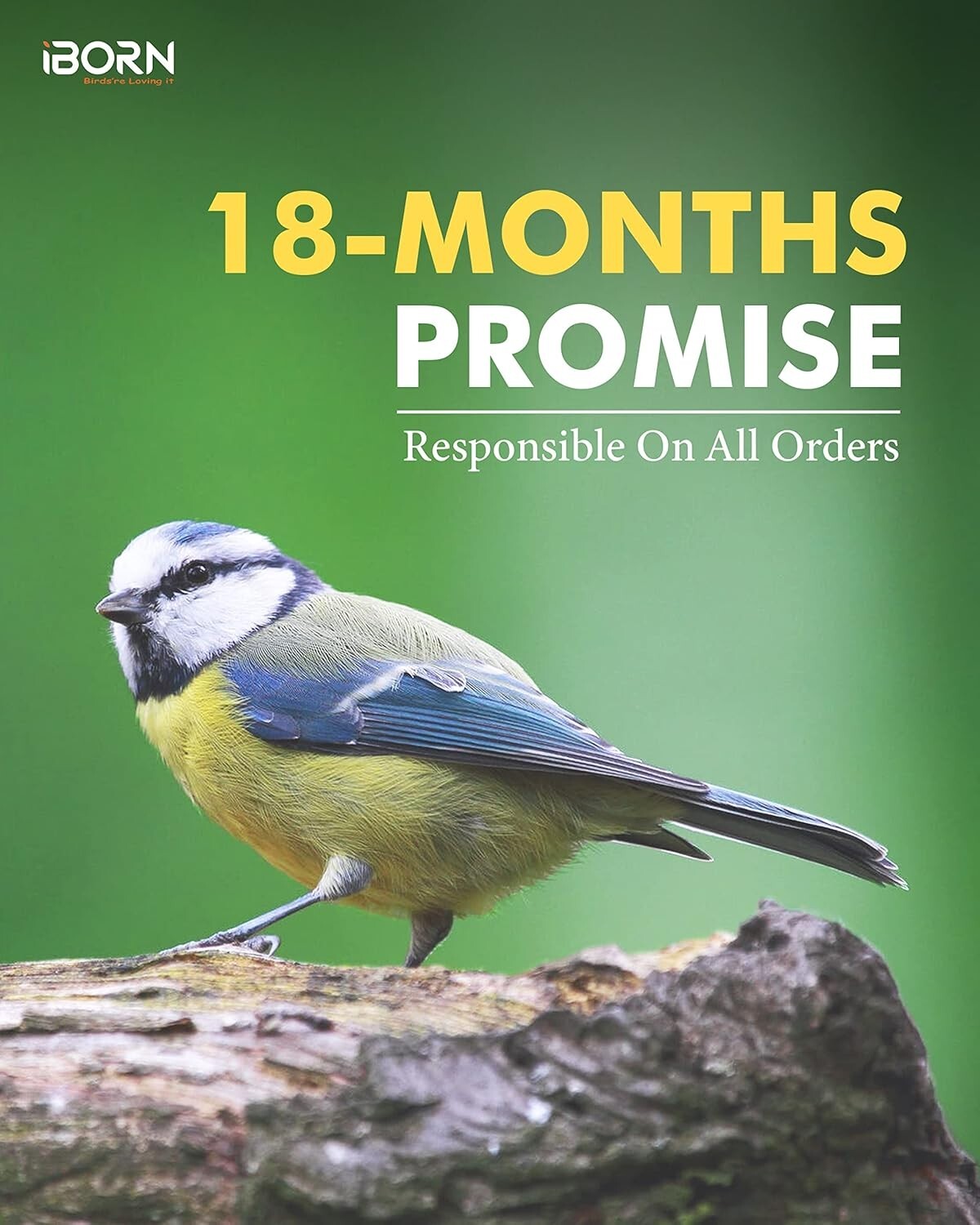 Durable Outdoor Bird Feeders in Brushed Copper with Six Ports - Bird Lover Gift