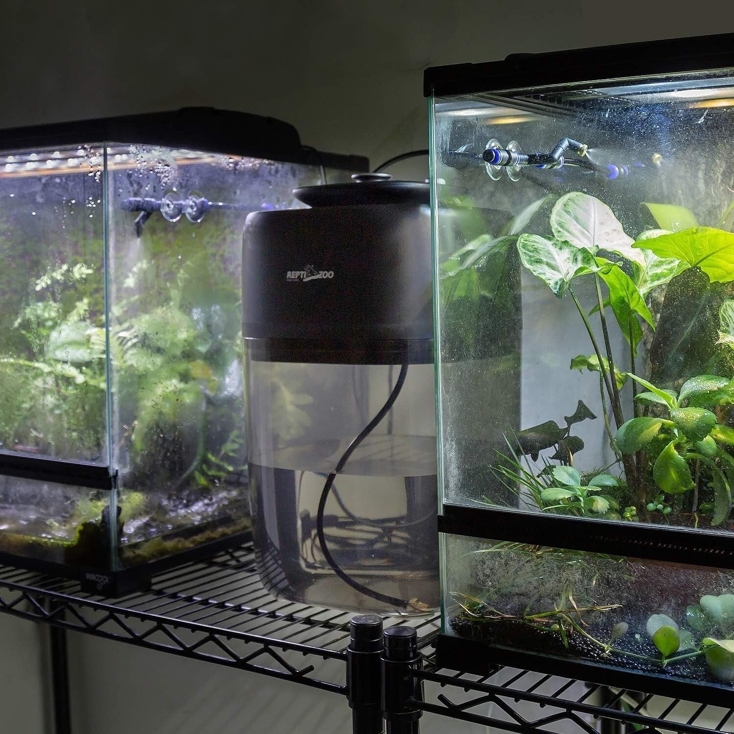 Versatile 10L Misting System for Reptiles: Silent, Adjustable & Easy to Use