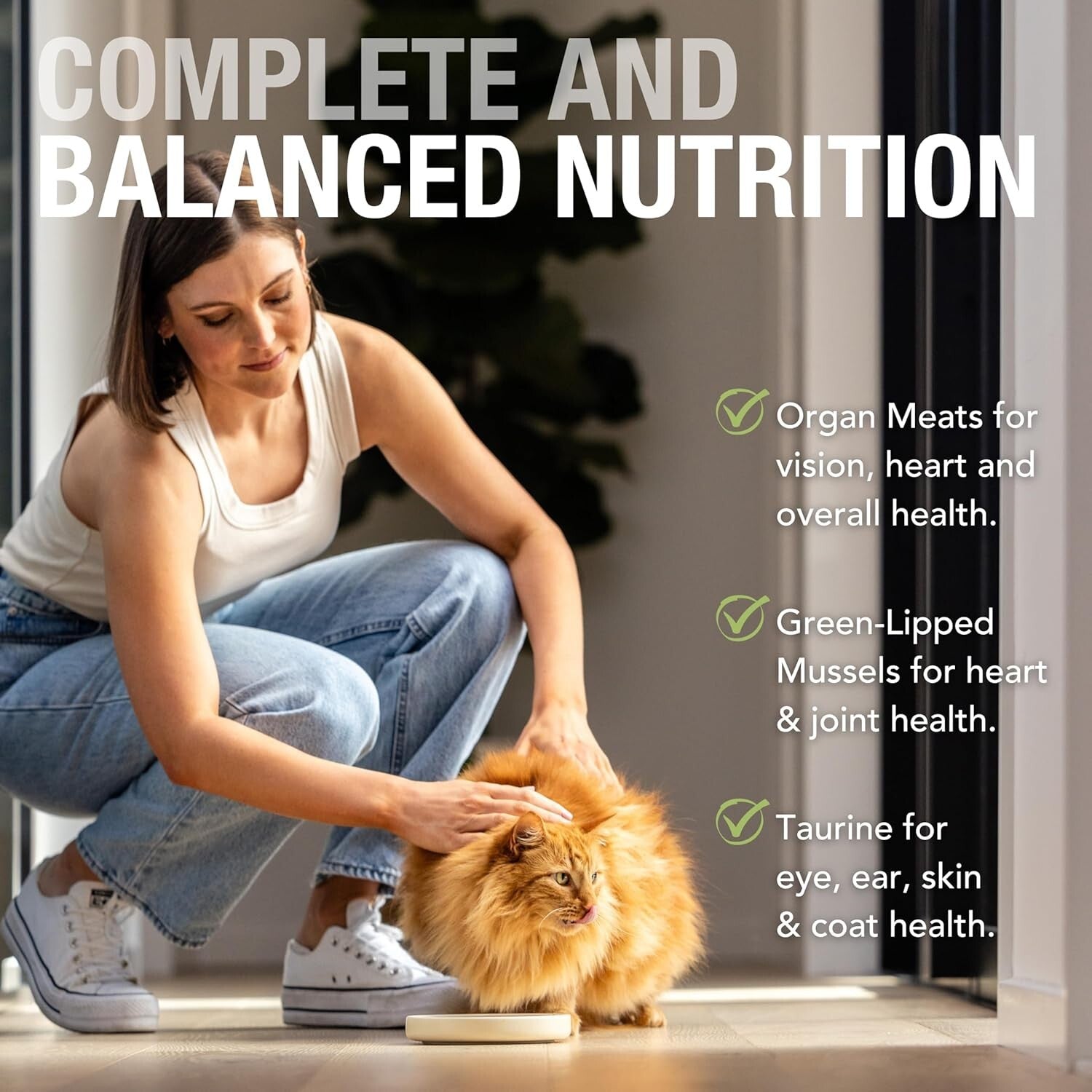 Delicious Grain-Free Cat Food Pate - All Life Stages, 24 Packs of 3 Oz