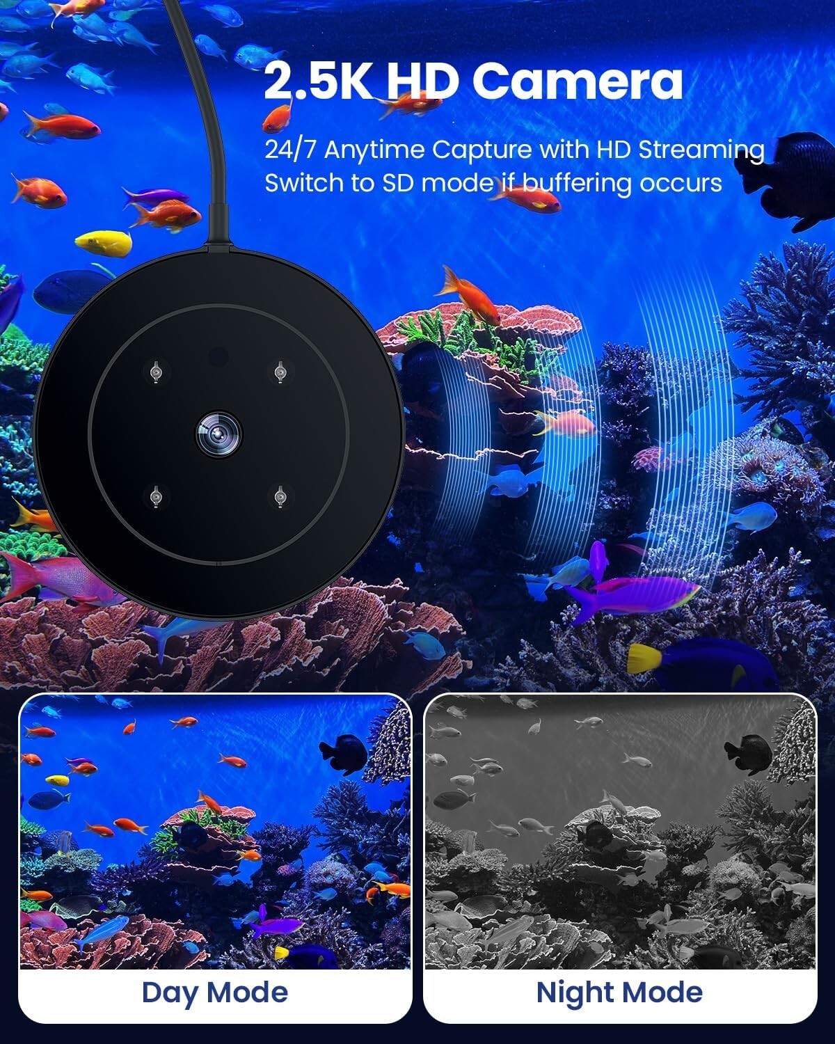 2.4G Precision Fish Feeder with Visual Monitor for Betta and Goldfish Aquariums