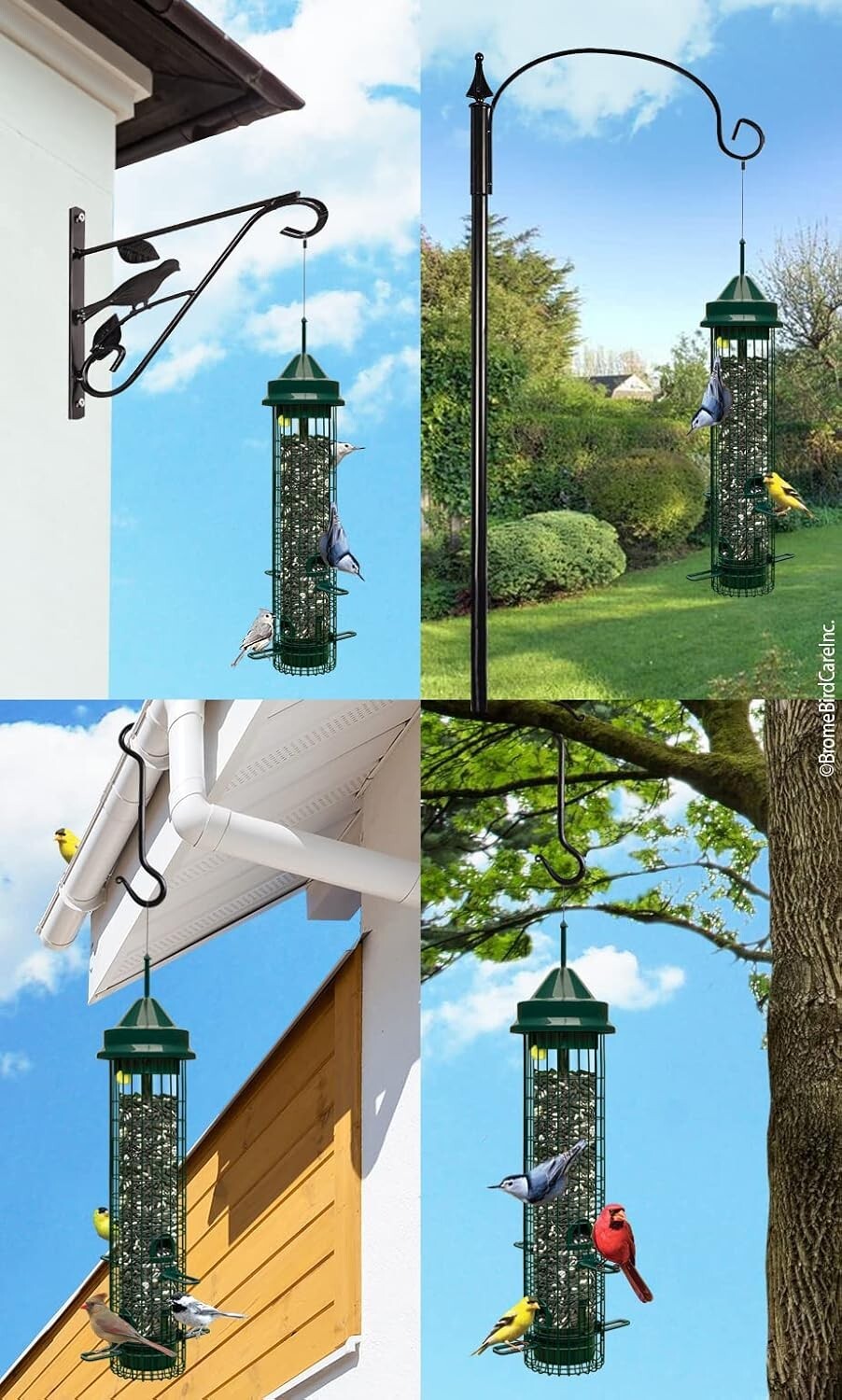 Durable Squirrel-Proof Bird Feeder: 4 Feeding Ports & 2.4 lbs for Birdwatching