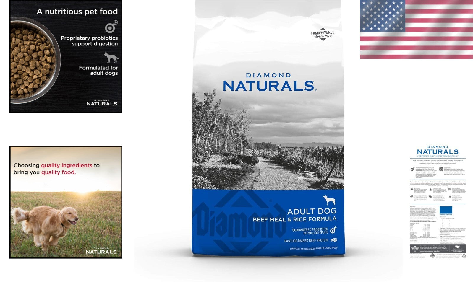 Diamond Pet Foods 40lb Beef Formula for Digestive Health & Immune Support