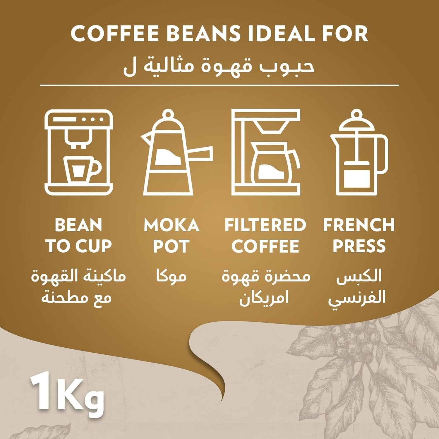 Artisan 1 kg Coffee Beans - Floral & Fruity Medium Roast for Espresso Lovers