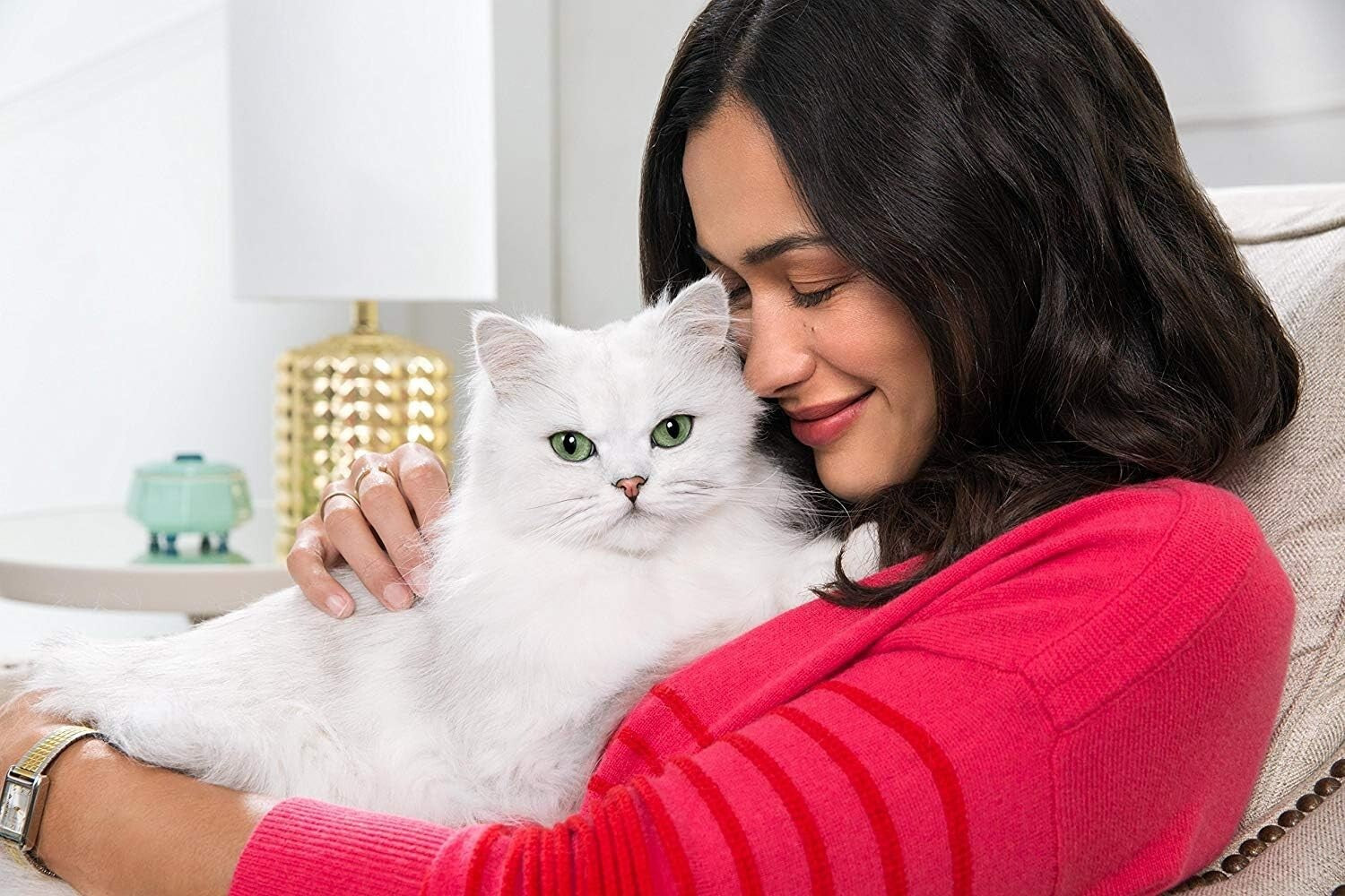 Premium Seafood Variety Pack - Purina Wet Cat Food (45 Cans of Delight)