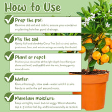 Load image into Gallery viewer, Nutrient-Rich 30 Quart Potting Mix for Potted Citrus Plants - Indoor/Outdoor