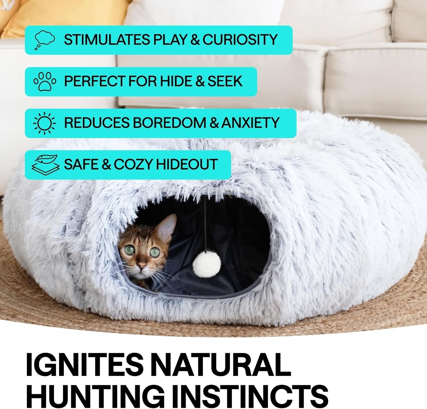 Interactive Cat Playground: Bed Cave with Tunnel, Ball & Laser Toy for Cats