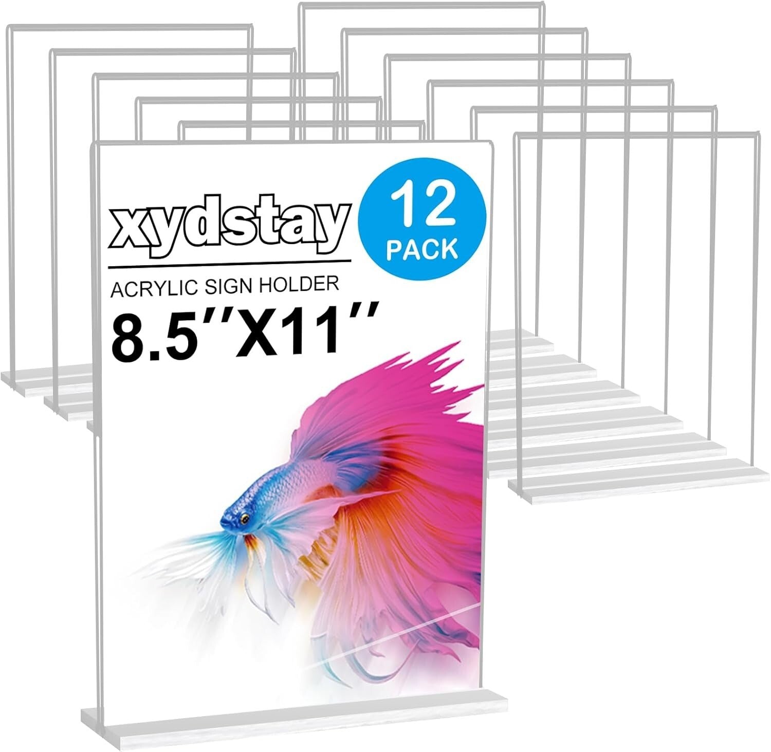 T-Shape Acrylic Stand 12-Pack for Menus & Flyers - Versatile Clear Displays