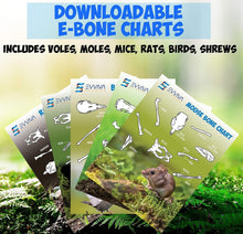 Load image into Gallery viewer, Educational Owl Pellet Dissection Kit with Variety of Sizes - Ideal for Ages 15+