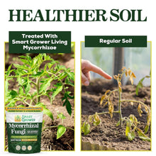 Load image into Gallery viewer, 5-Strain Mycorrhizal Fungi Blend - Potent Support for Garden and Lawn Growth