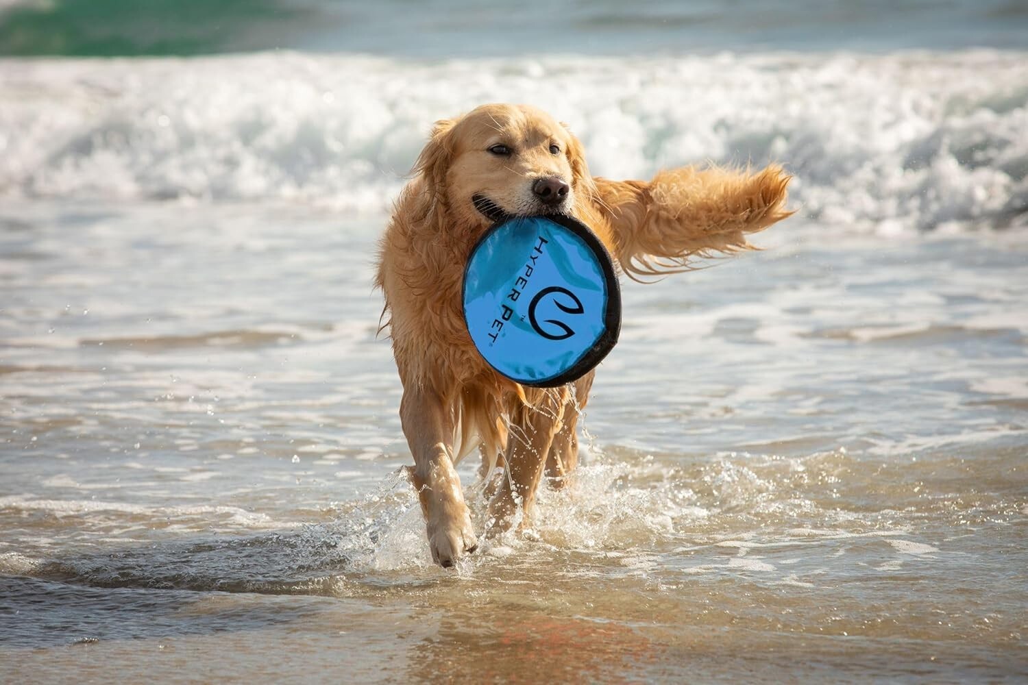 Colorful 9-Inch Soft Dog Discs - Floating Fetch Toy, Pack of 5 for All Breeds