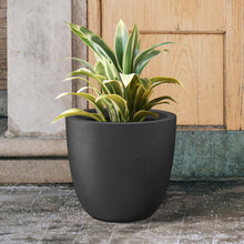 Load image into Gallery viewer, Spacious Round Concrete Planter - Indoor/Outdoor 18" Pot for Healthy Plants