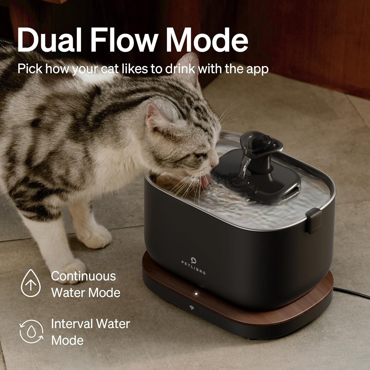 App-Enabled Pet Water Fountain - 2.5L Stainless Steel with Health Monitoring