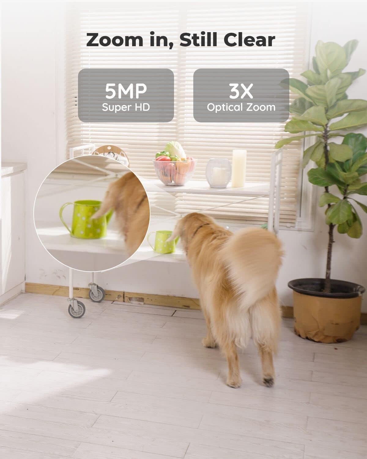 360° Baby and Pet Monitor - 5MP Indoor Camera with Night Vision & Two-Way Talk