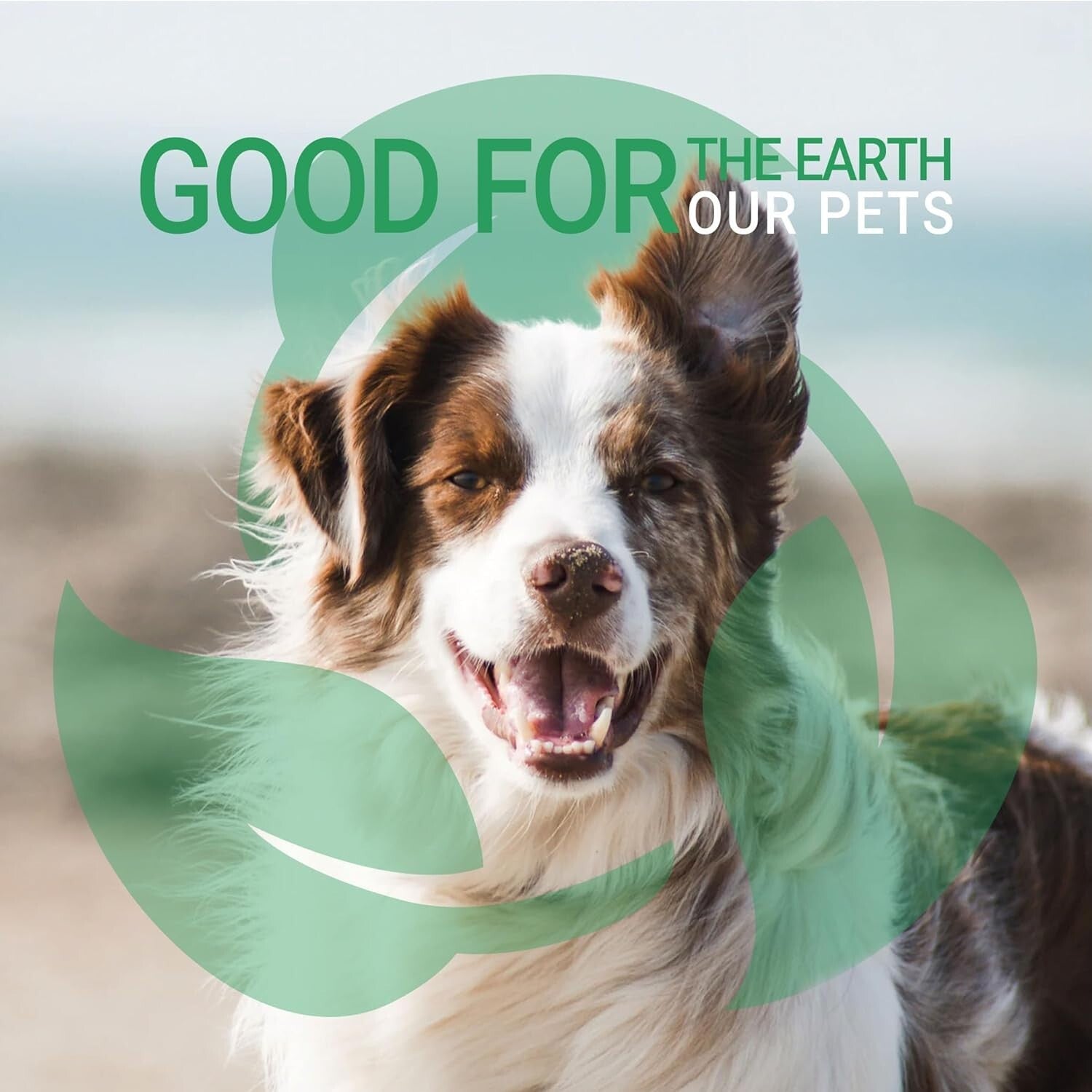 Calming 1 Gallon Dog Shampoo with Chamomile & Lavender - Hydrating & Deodorizing