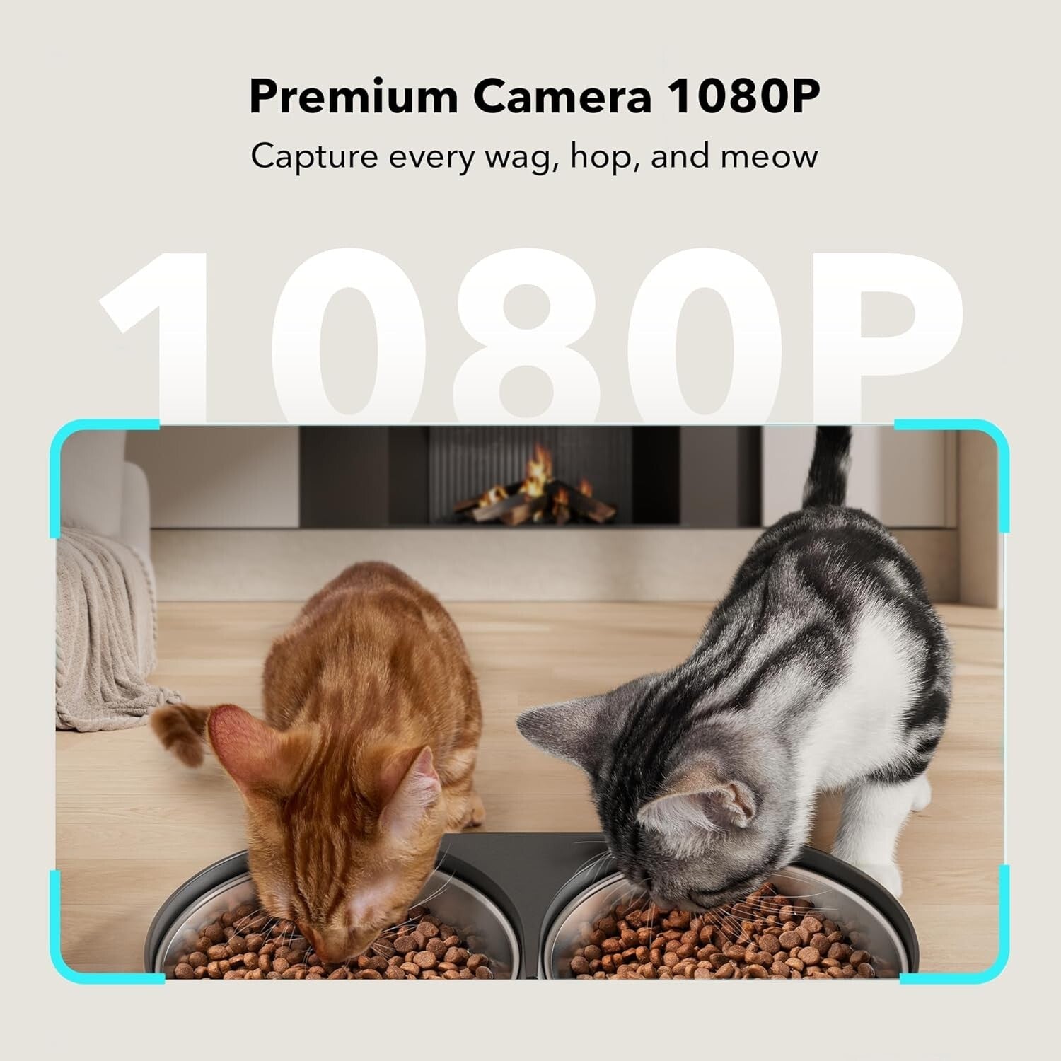 Stylish Automatic Pet Feeder with 1080P Camera & Audio for Cats & Dogs - Black