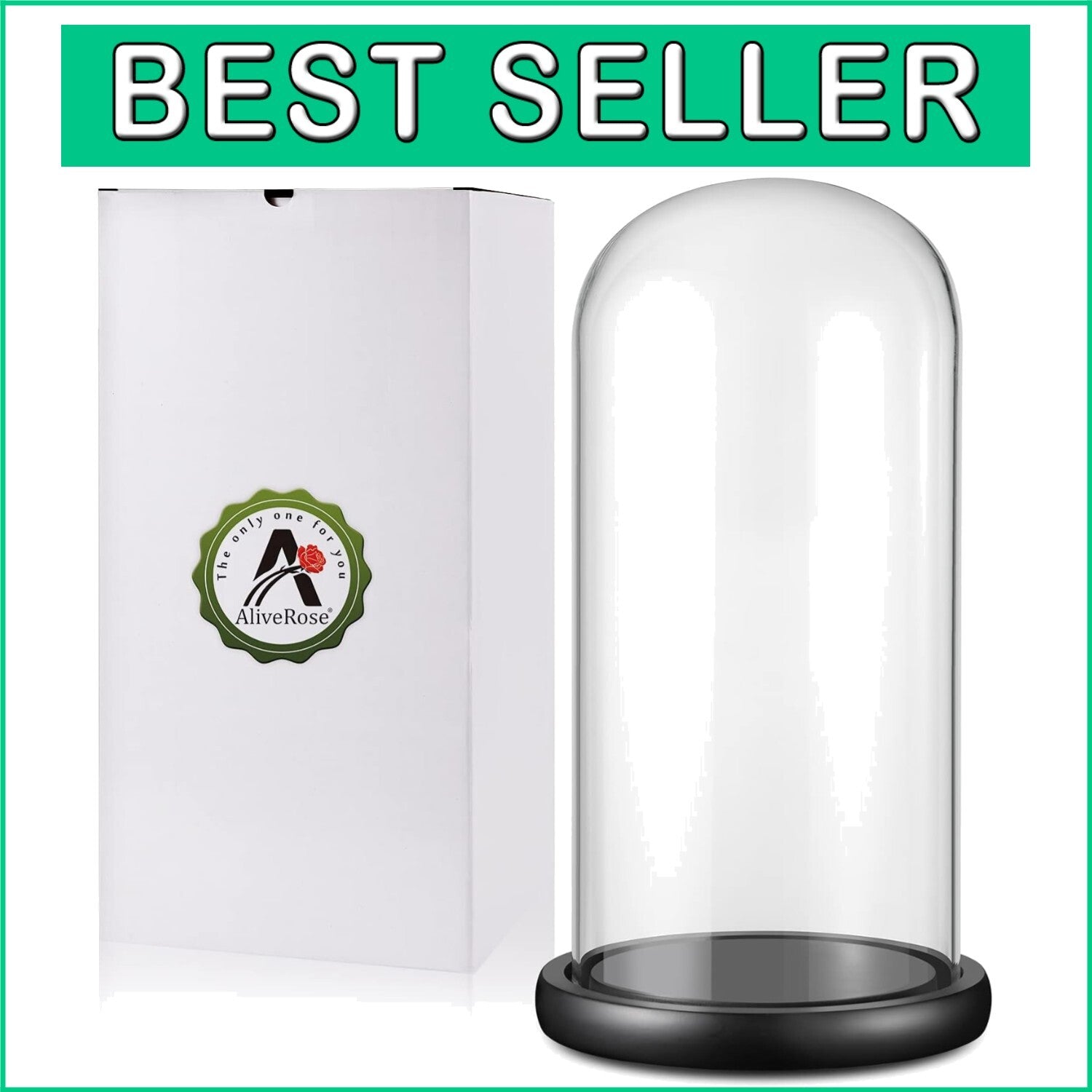 13" x 6" Hand-Blown Glass Cloche Dome for Showcasing Gold Roses & Collectibles