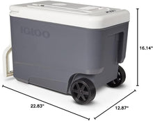 Load image into Gallery viewer, Portable Electric Cooler with Efficient Thermoelectric Technology - 35Qt