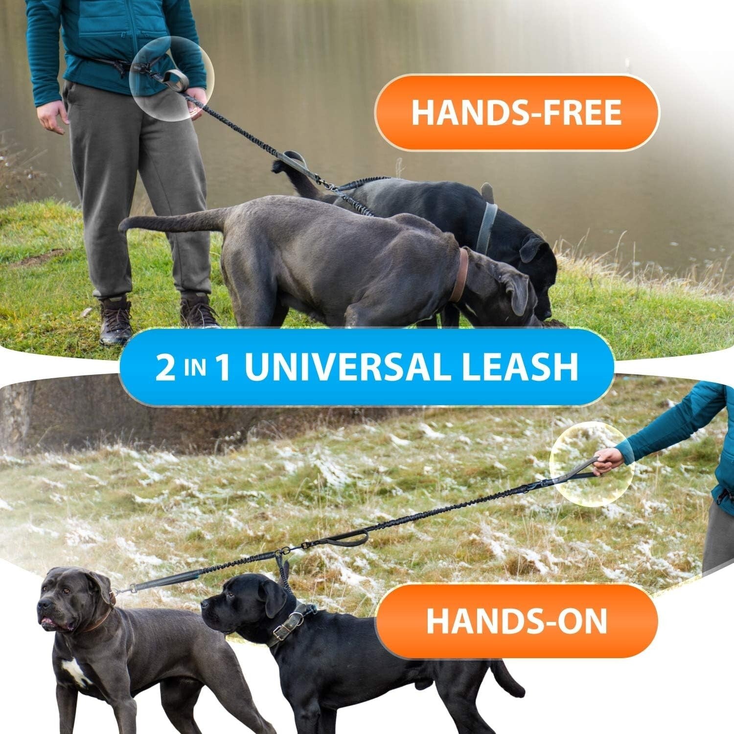 Durable Dual Dog Leash with Comfortable Padded Handles - Best for Medium/Large