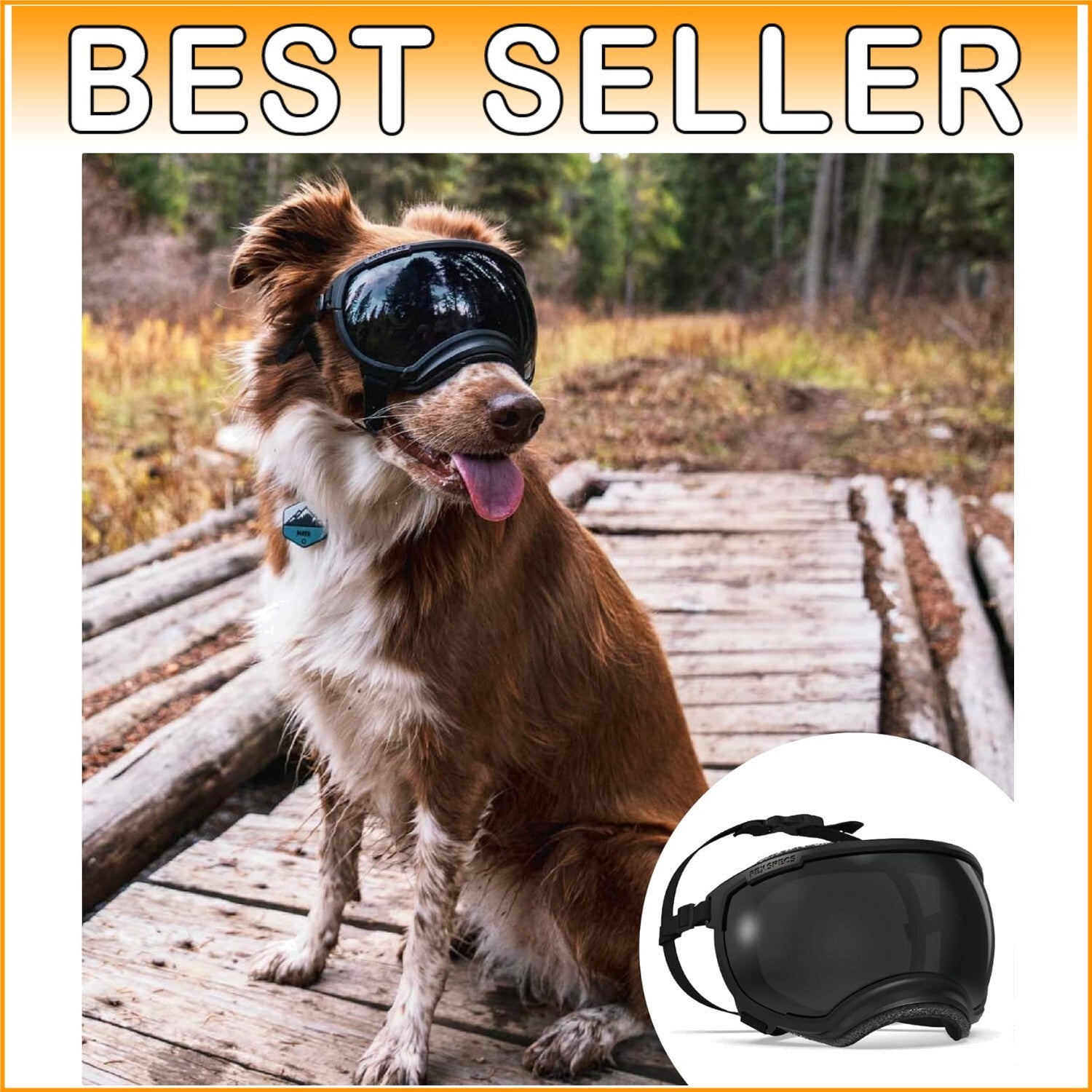 V2 X-Large Dog Goggles in Black - Protective Eyewear for Active Pups