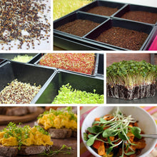Load image into Gallery viewer, Minimalist Black Gardening Trays - 10-Pack with Drain Holes for Indoor Use
