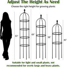 Load image into Gallery viewer, Durable 6ft Climbing Plant Trellis - Easy Installation for Indoor &amp; Outdoor