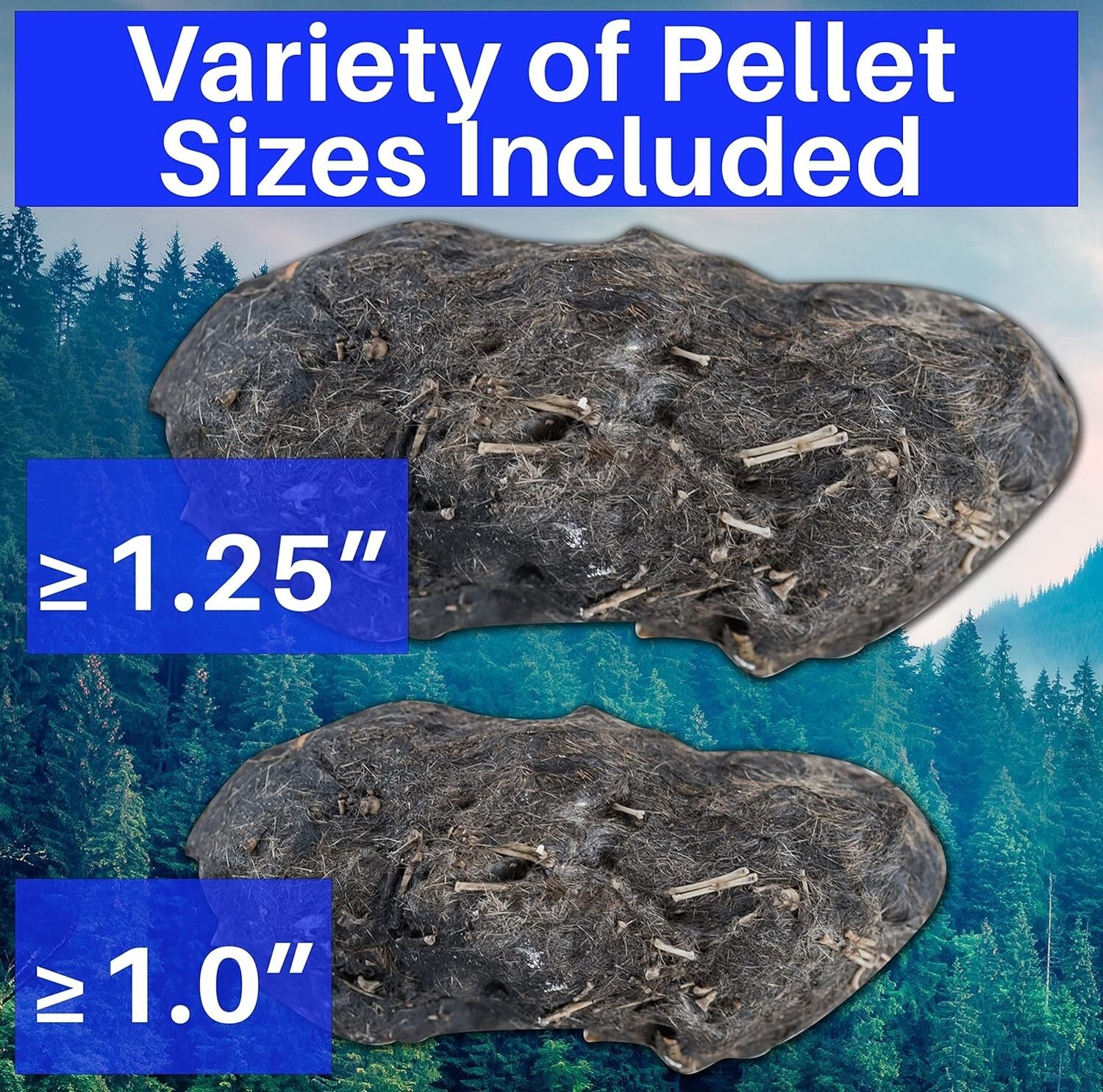 Educational Owl Pellet Dissection Kit with Variety of Sizes - Ideal for Ages 15+