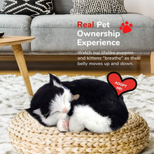 Load image into Gallery viewer, 10.75 Inch Lifelike Stuffed Black &amp; White Kitten - Ideal for Pet Lovers and Kids
