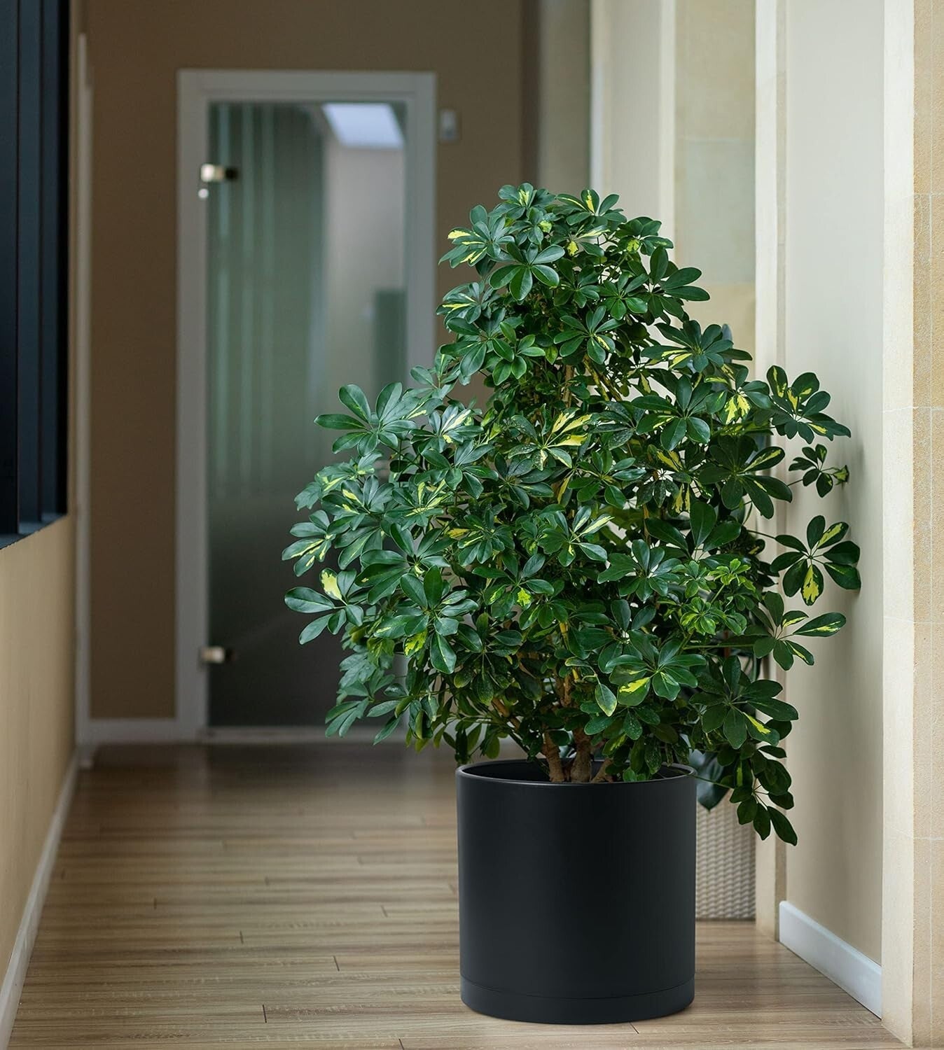 Cylindrical 12-Inch Indoor/Outdoor Planters with Drainage Saucers - Set of 2