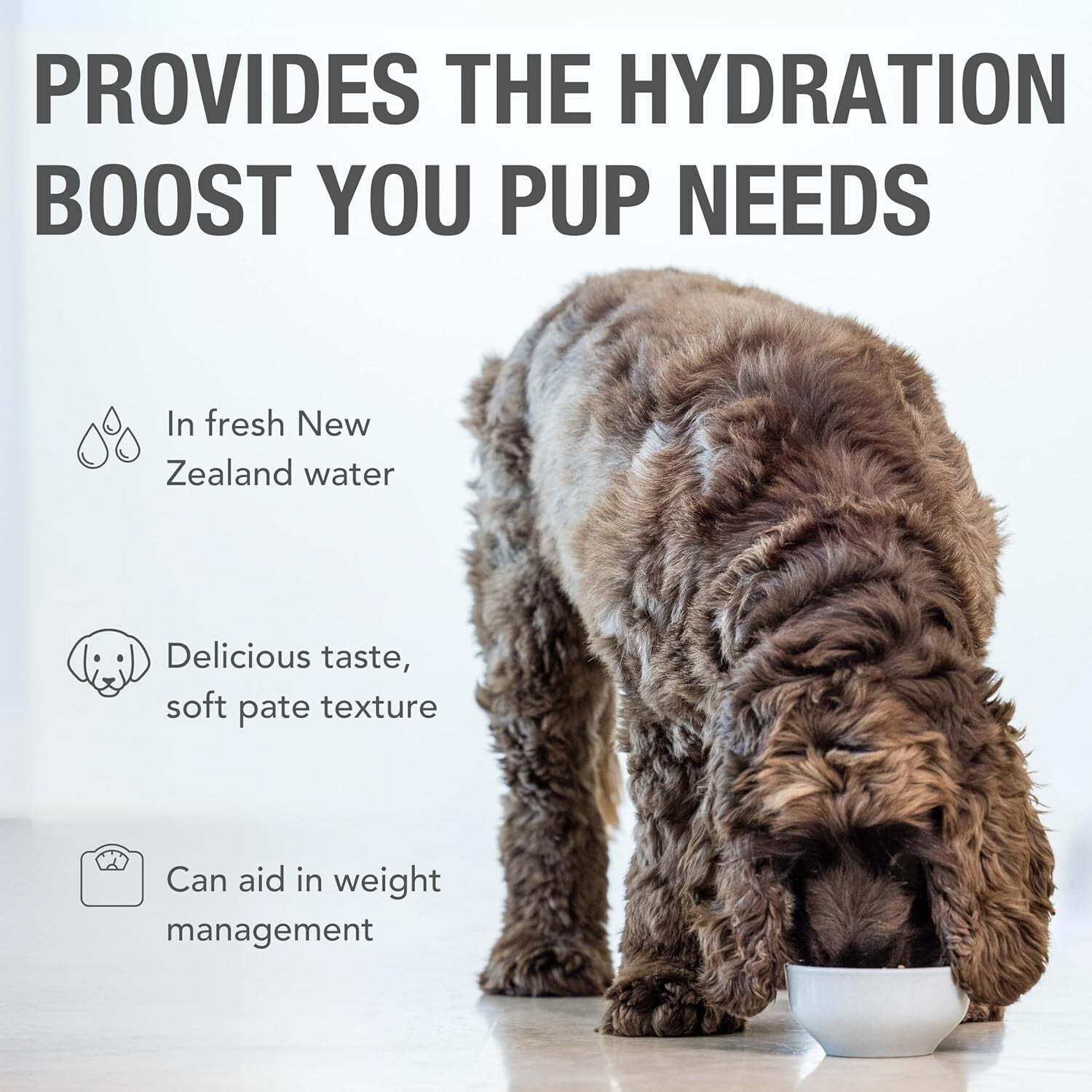 Delicious Lamb Feast Wet Dog Food - 13 Oz Cans, 12 Cans, Healthy Nutrition