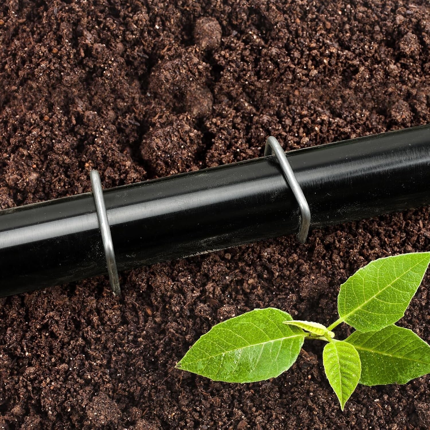 500 Galvanized Landscape Pins, 6 Inch Heavy-Duty Stakes for Efficient Gardening